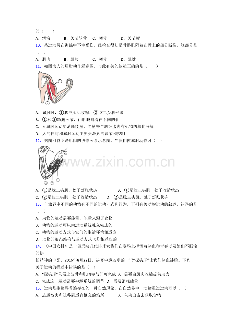 深圳市盐田区外国语学校生物八年级上册期末试卷含答案.doc_第2页