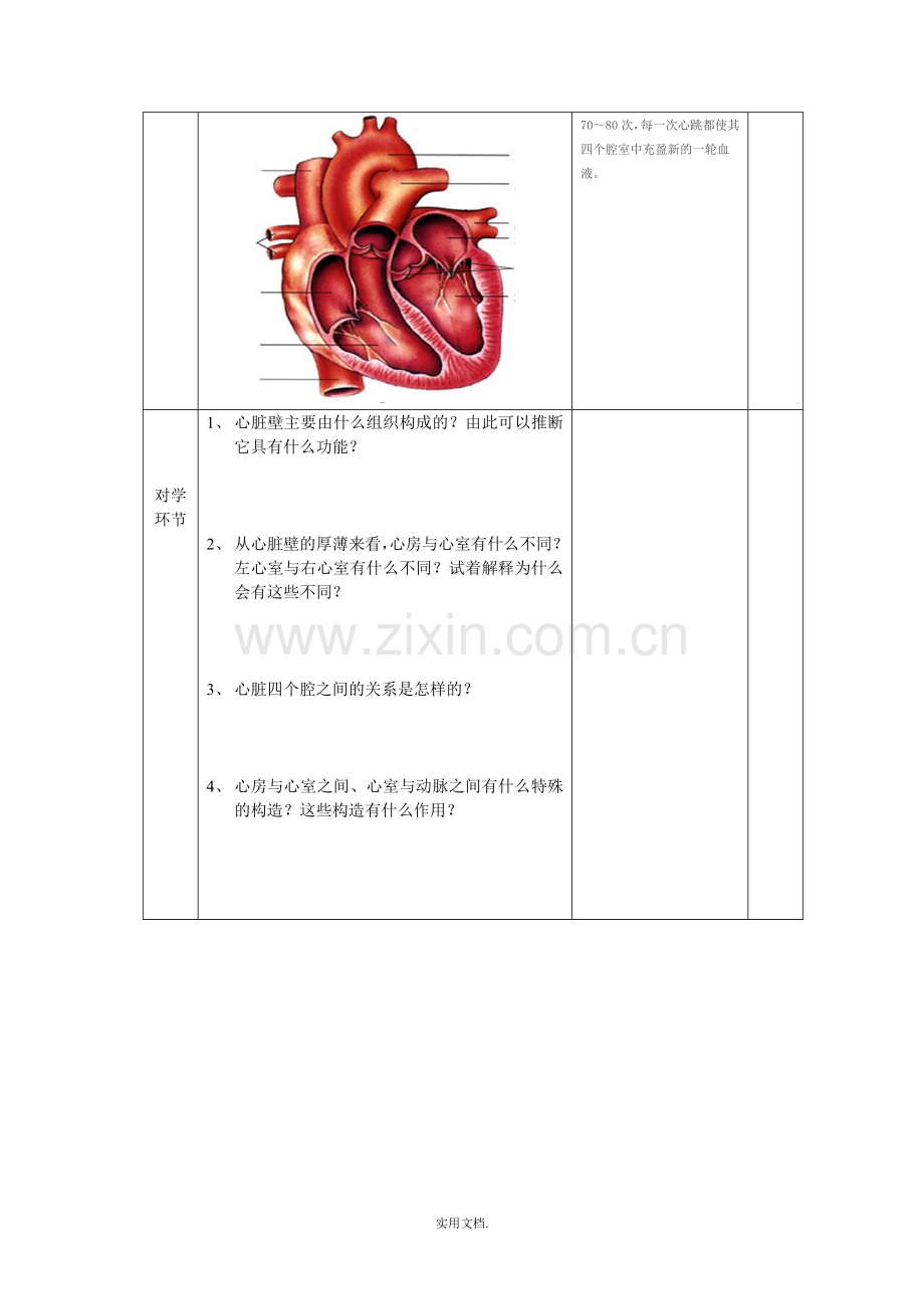 七年级生物导学案《输送血液的泵——心脏》.doc_第3页