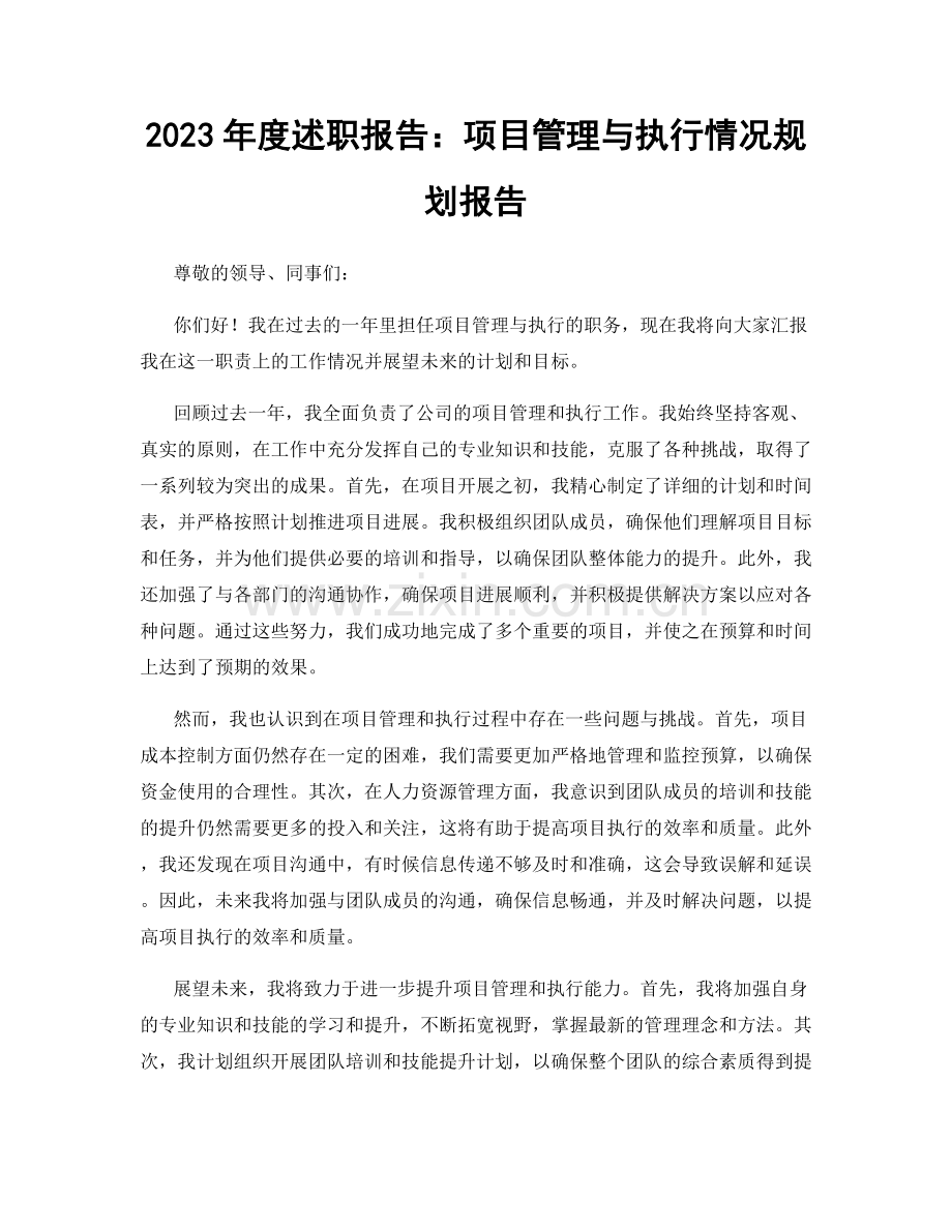 2023年度述职报告：项目管理与执行情况规划报告.docx_第1页