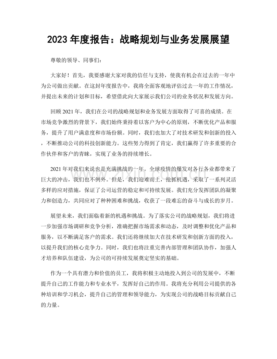 2023年度报告：战略规划与业务发展展望.docx_第1页