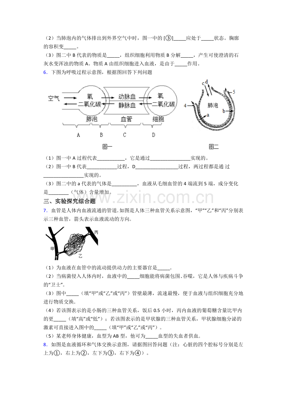 生物人教版七年级下册期末非选择题期末非选择题及答案.doc_第3页