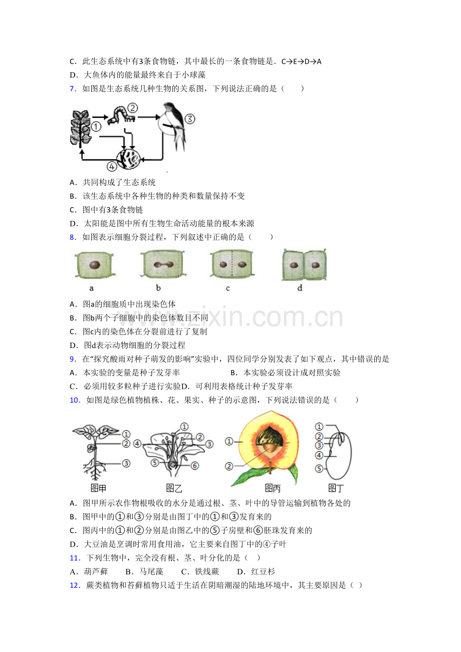 七年级上册期末生物试题含答案.doc_第2页