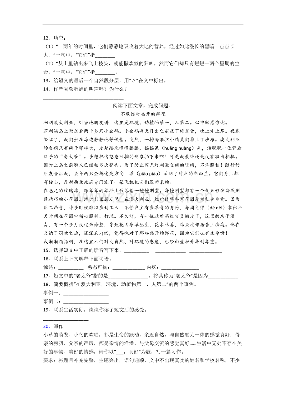 部编版语文小学六年级上学期期末复习试卷.docx_第3页