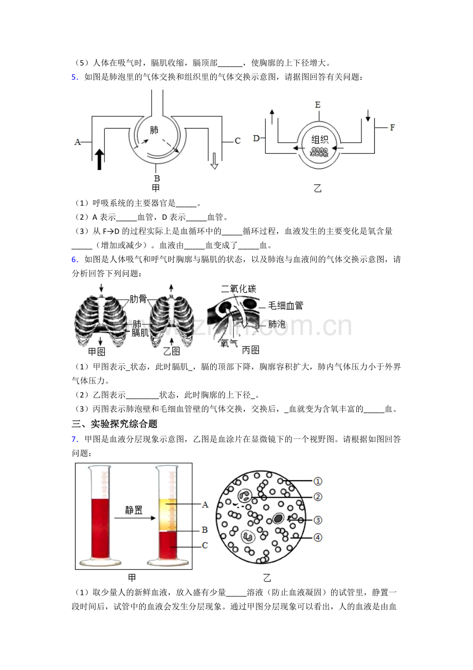 宁波市效实中学七年级下学期期末综合题实验探究题试卷试题.doc_第3页