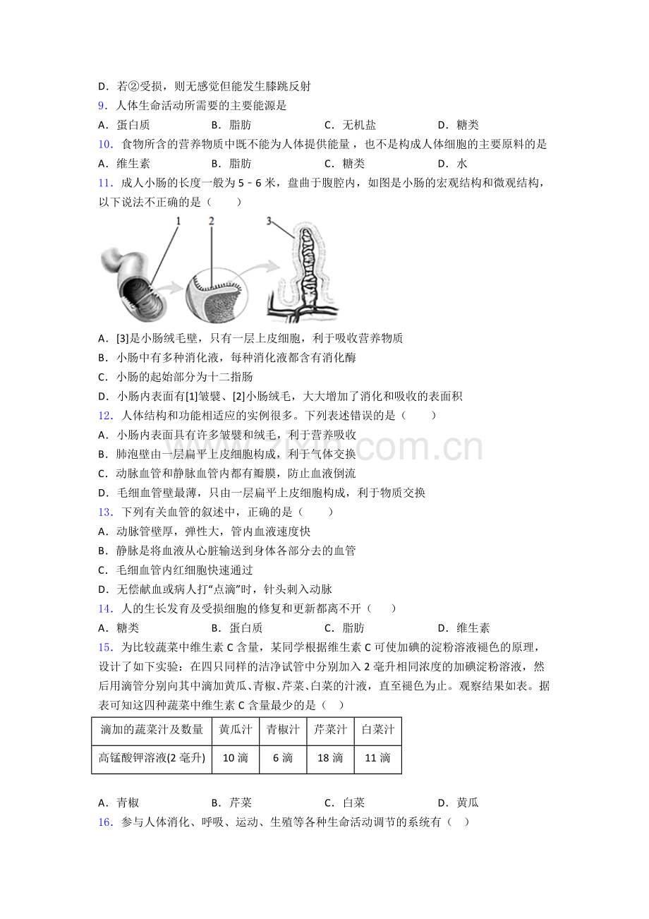 人教版七年级生物下册期中复习知识点大全.doc_第2页