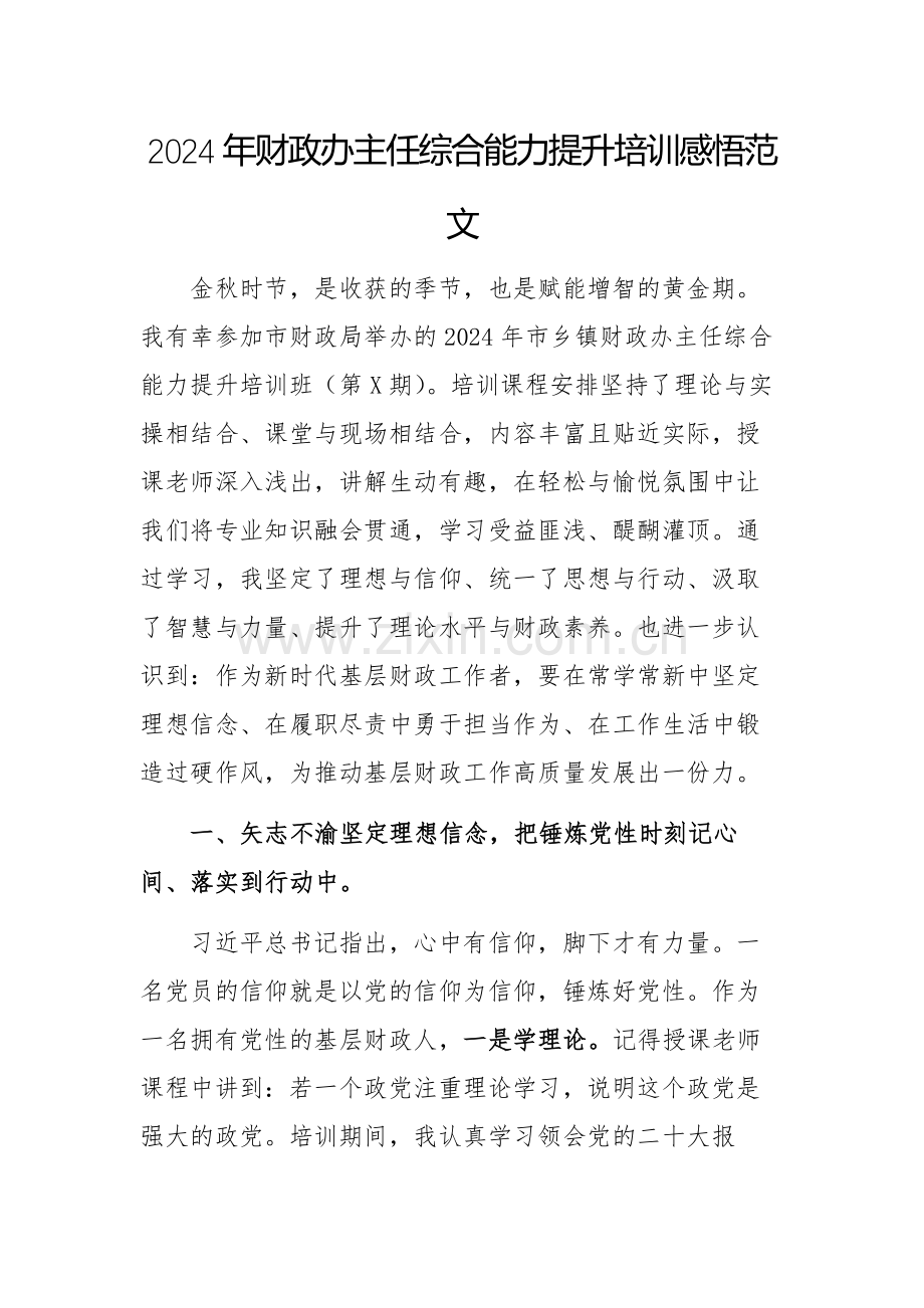 2024年财政办主任综合能力提升培训感悟范文.docx_第1页