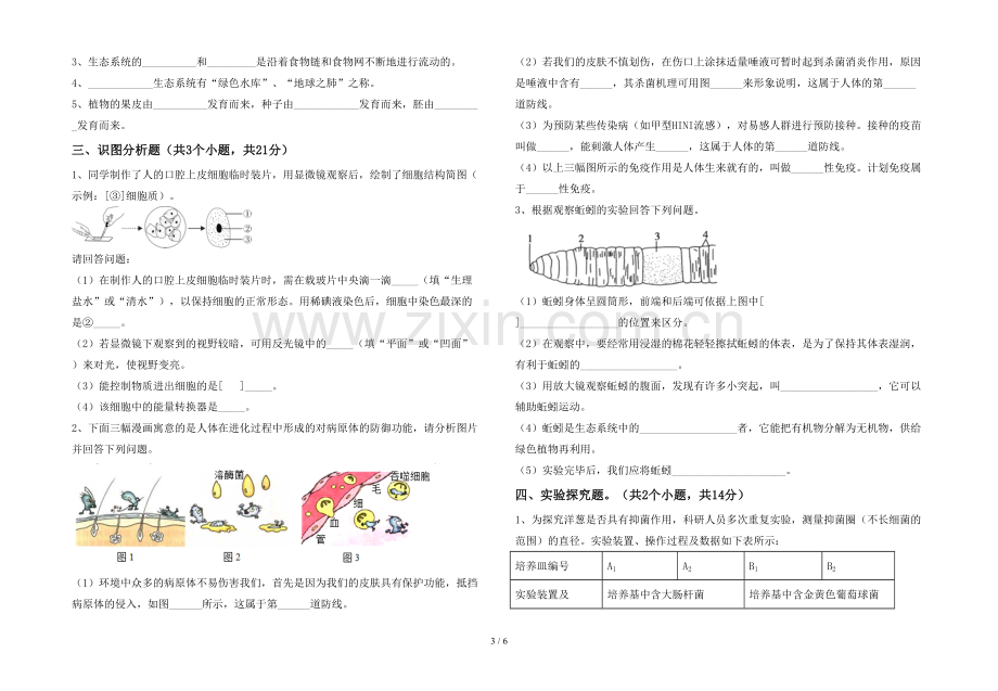 七年级生物(上册)期末试卷及参考答案.doc_第3页