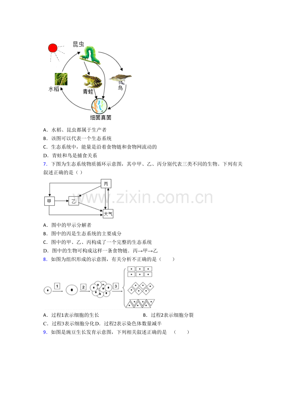 天津六力学校生物七年级上册期末试卷含答案.doc_第2页