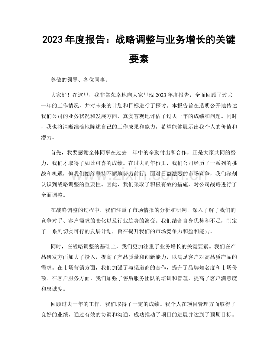 2023年度报告：战略调整与业务增长的关键要素.docx_第1页