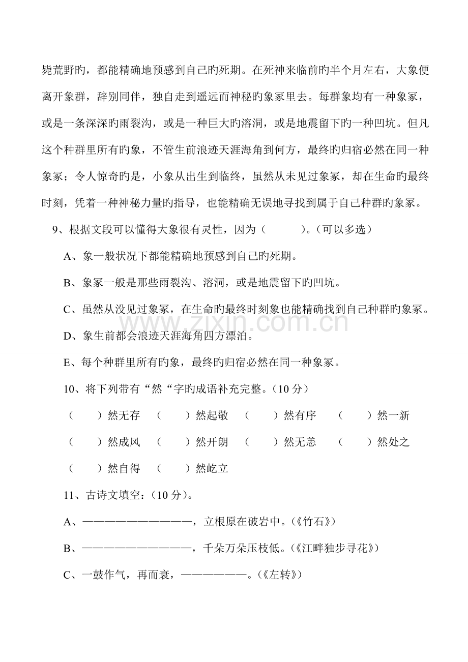 2023年东华小升初语文试卷真题.doc_第3页