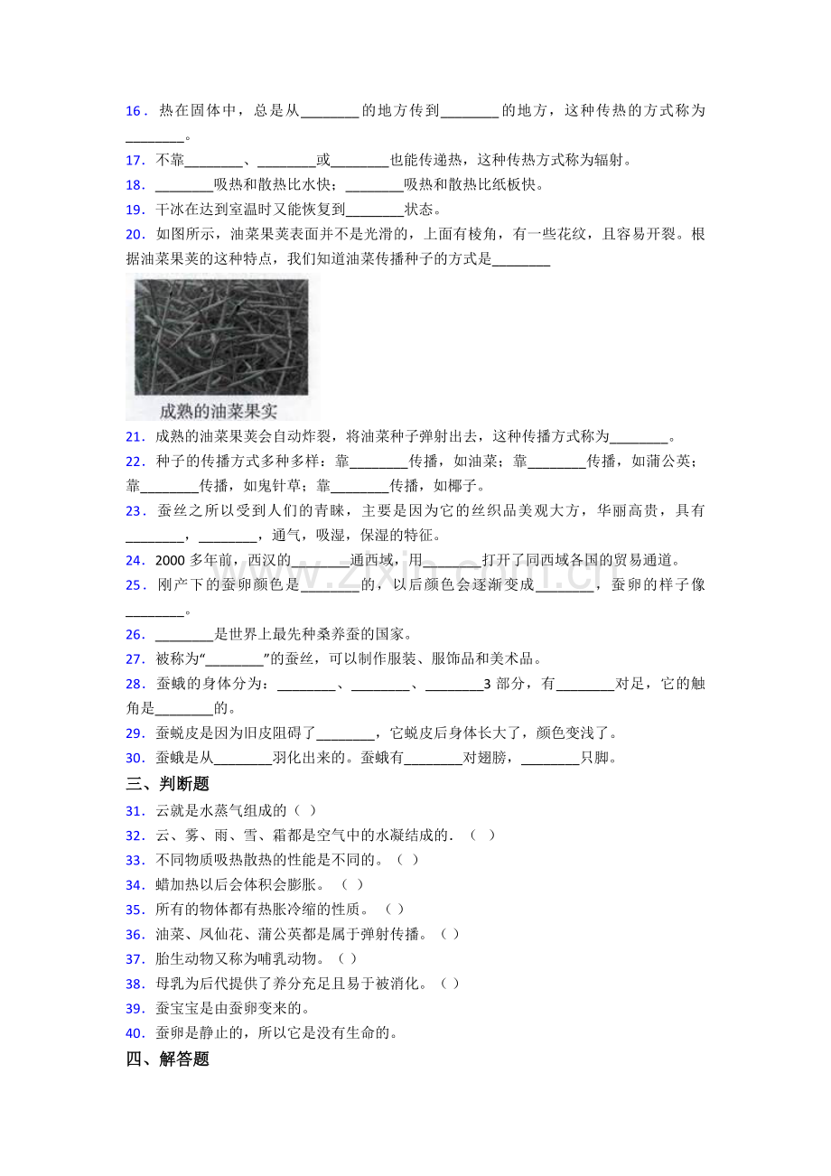 新教材苏教版四年级下册科学期末测试卷.doc_第2页