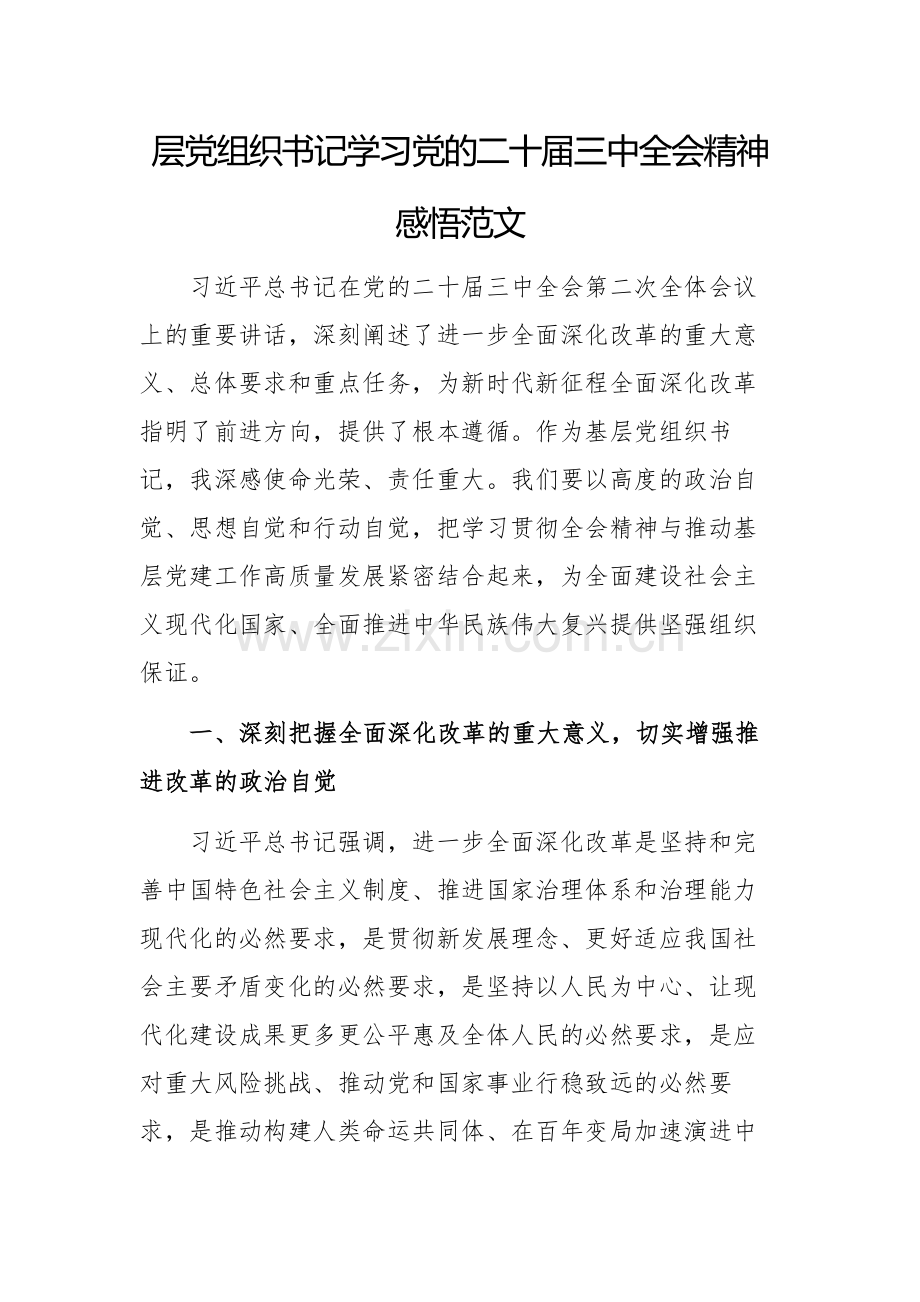 层党组织书记学习党的二十届三中会议精神感悟范文.docx_第1页