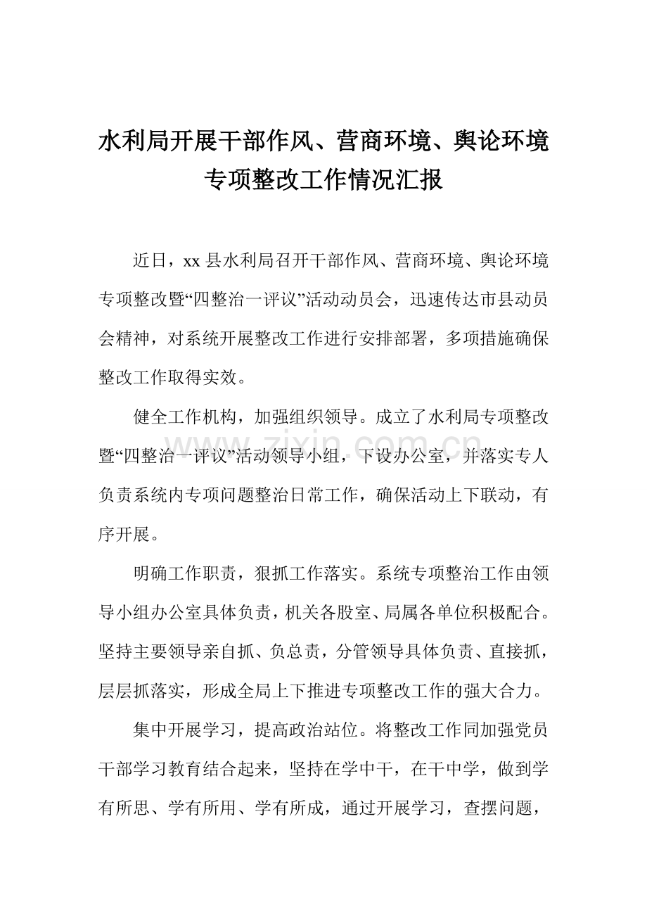 水利局开展干部作风、营商环境、舆论环境专项整改工作情况汇报.doc_第1页