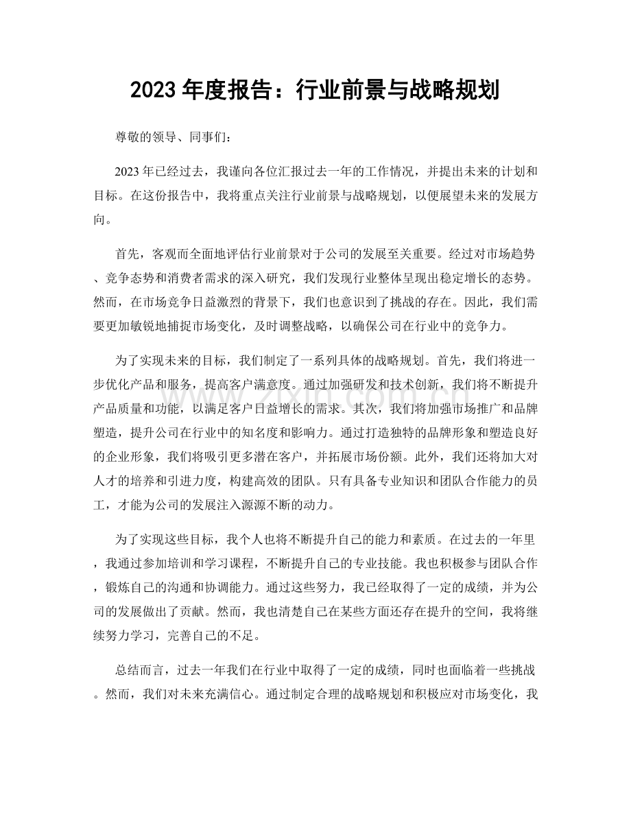 2023年度报告：行业前景与战略规划.docx_第1页