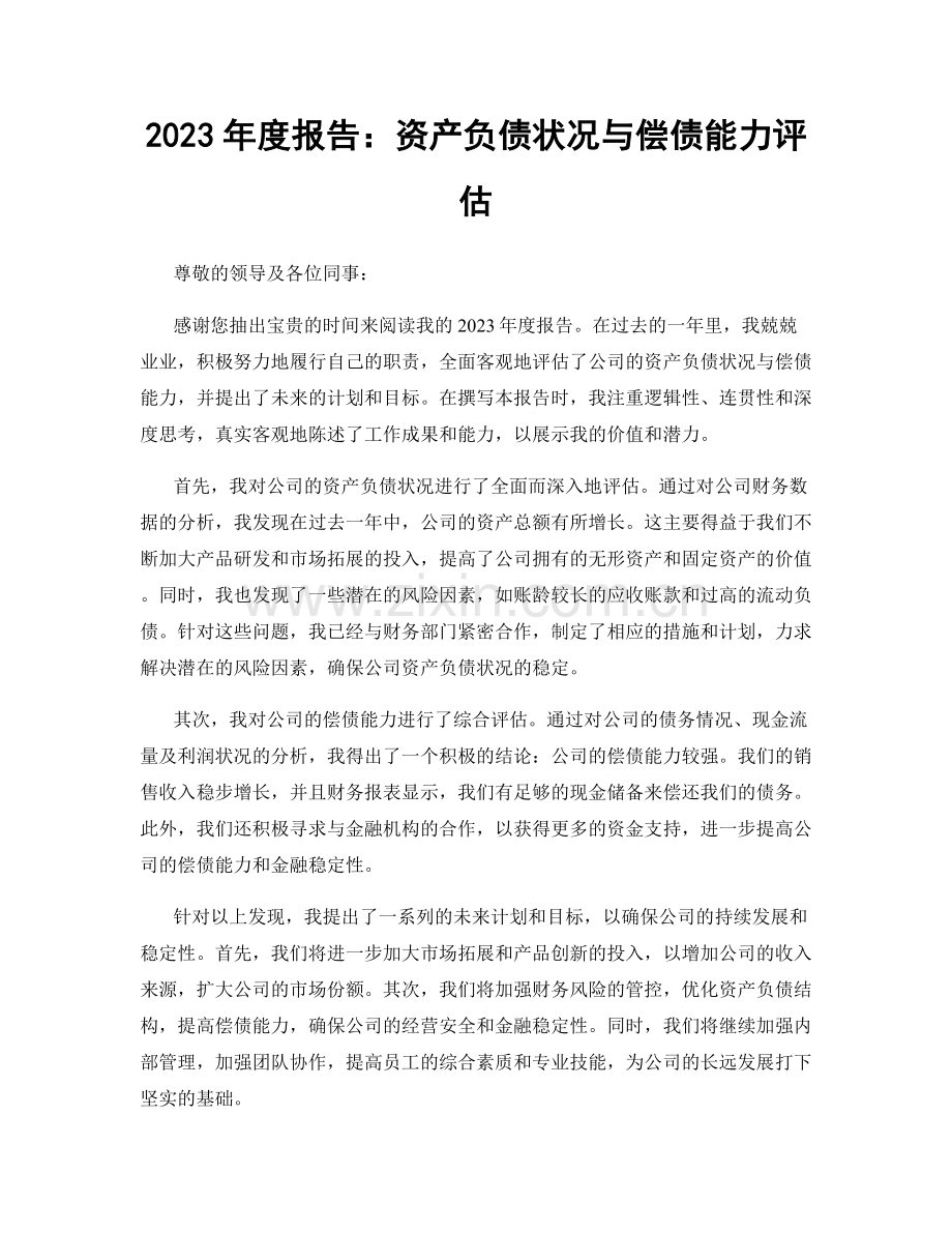 2023年度报告：资产负债状况与偿债能力评估.docx_第1页