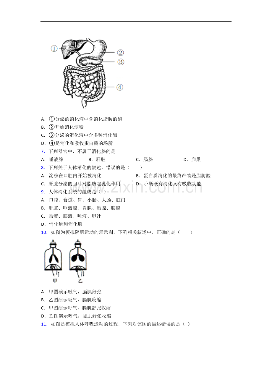 朝阳市生物七年级下学期期中生物试题.doc_第2页