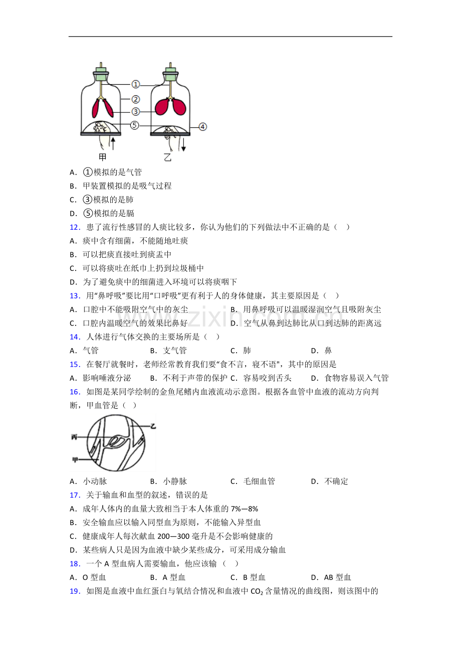 朝阳市生物七年级下学期期中生物试题.doc_第3页