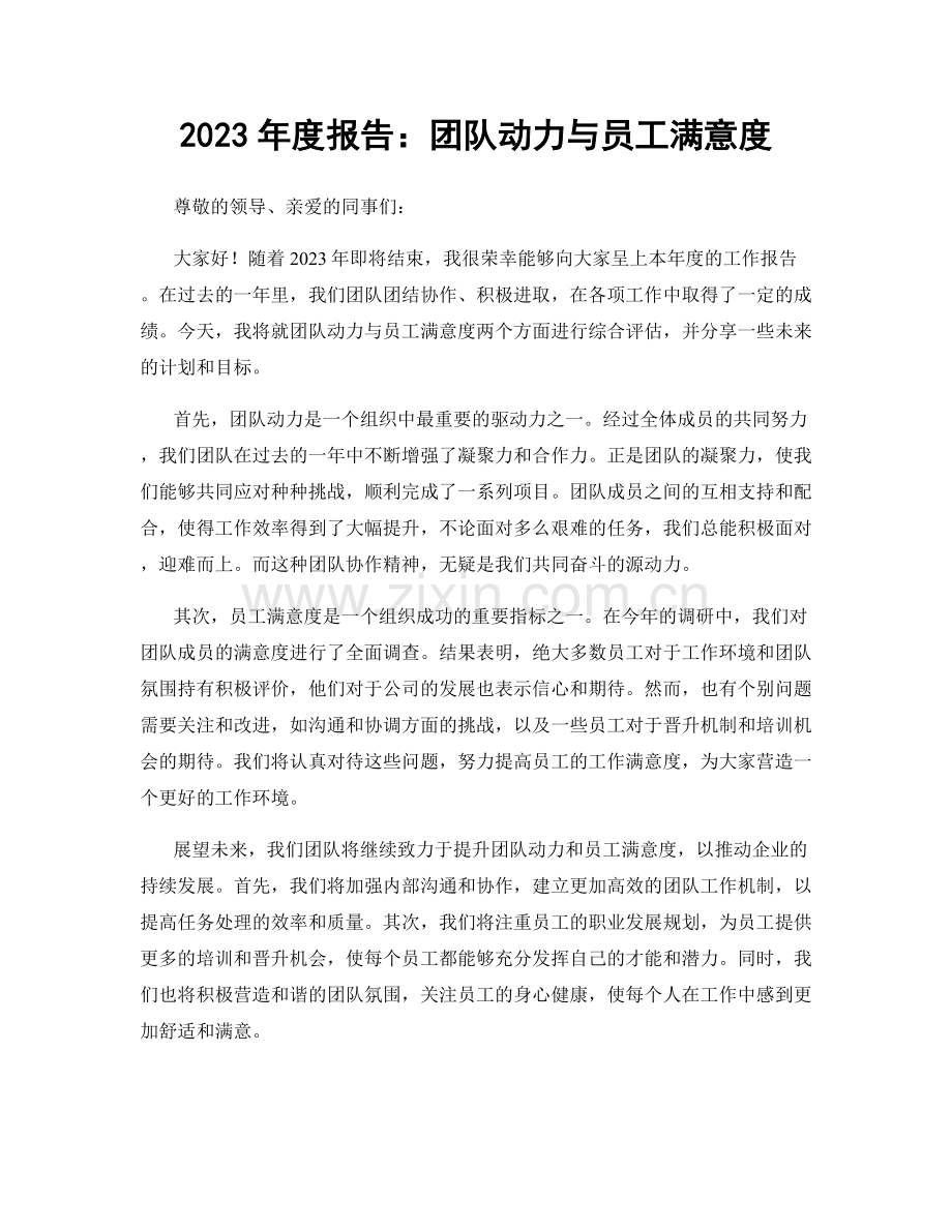 2023年度报告：团队动力与员工满意度.docx_第1页