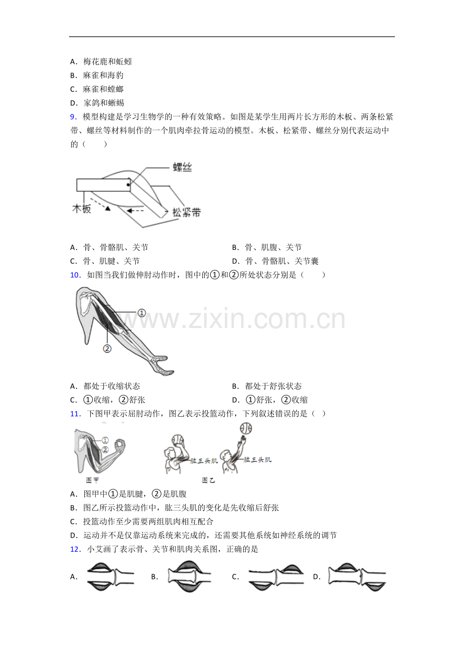 生物八年级上册期中生物期中试卷(含答案).doc_第2页