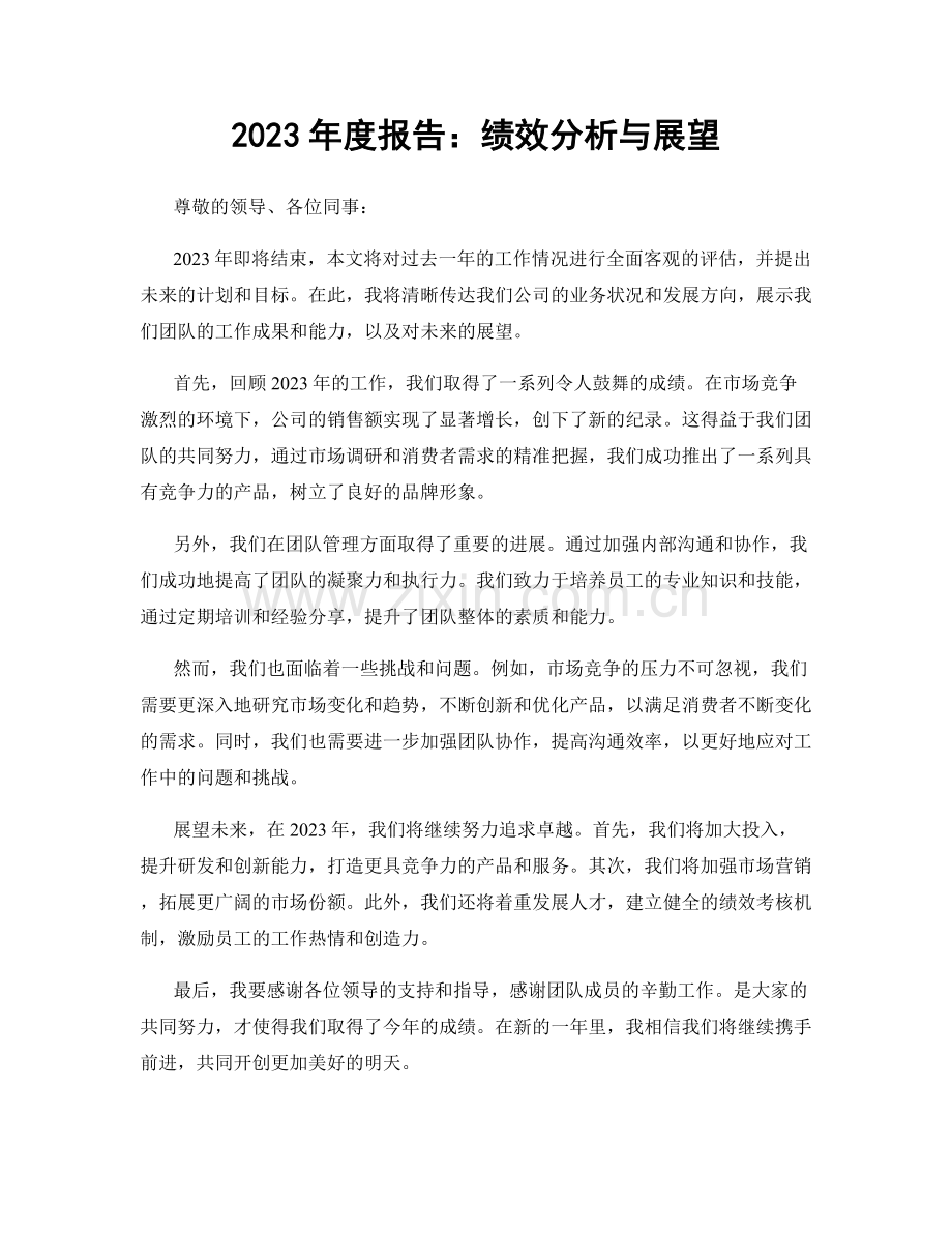 2023年度报告：绩效分析与展望.docx_第1页