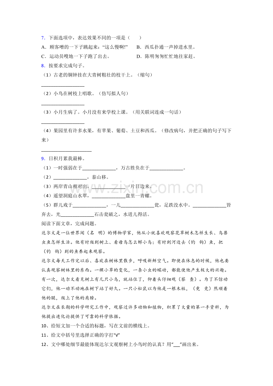 语文三年级上学期期末质量提高试卷测试卷(答案)(部编版).doc_第2页