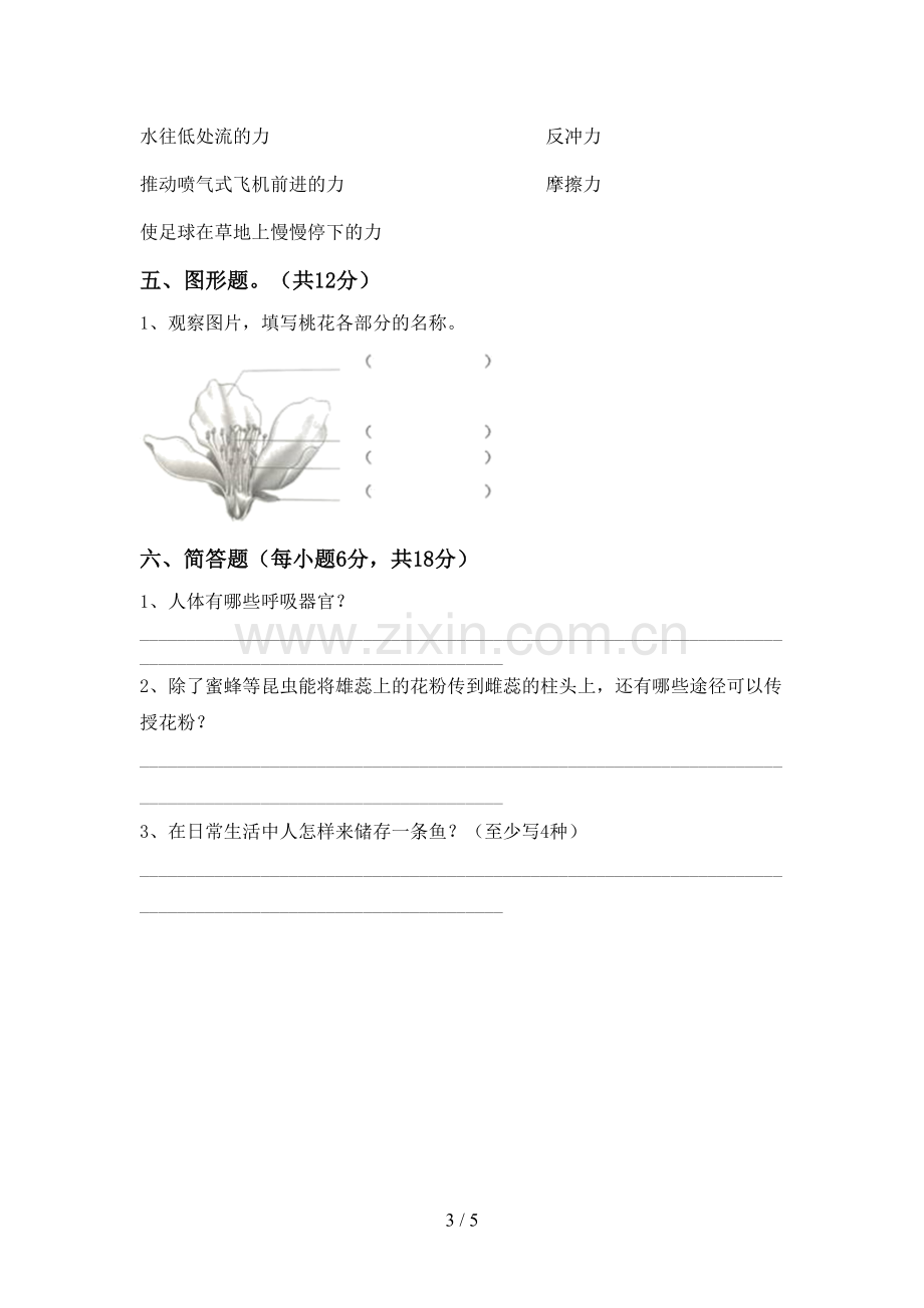 四年级科学上册期末考试卷及答案【完整版】.doc_第3页