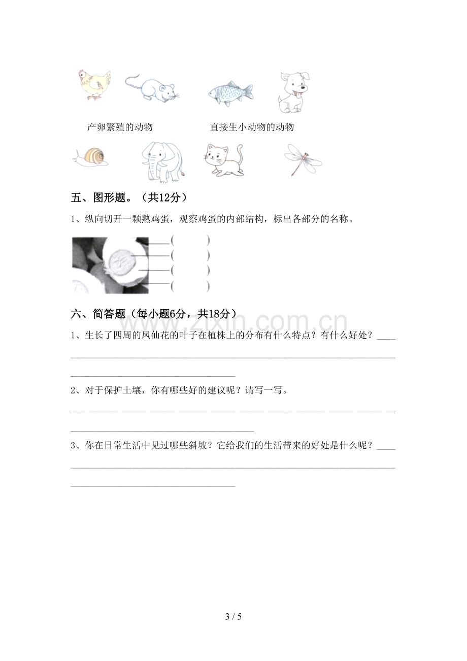 三年级科学上册期末试卷(可打印).doc_第3页