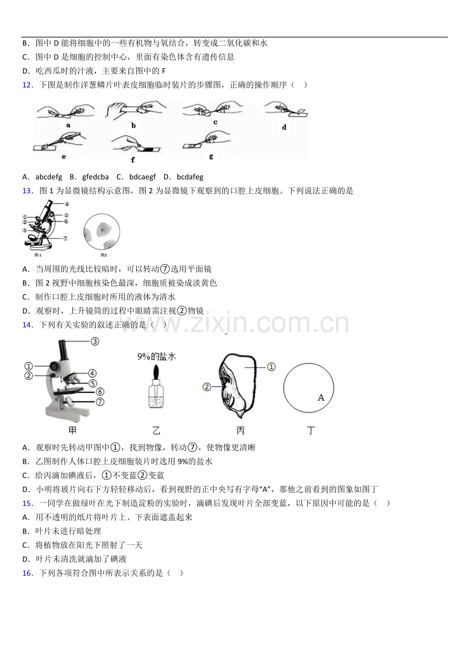 乌鲁木齐市七年级上学期期末生物试题及答案.doc_第3页