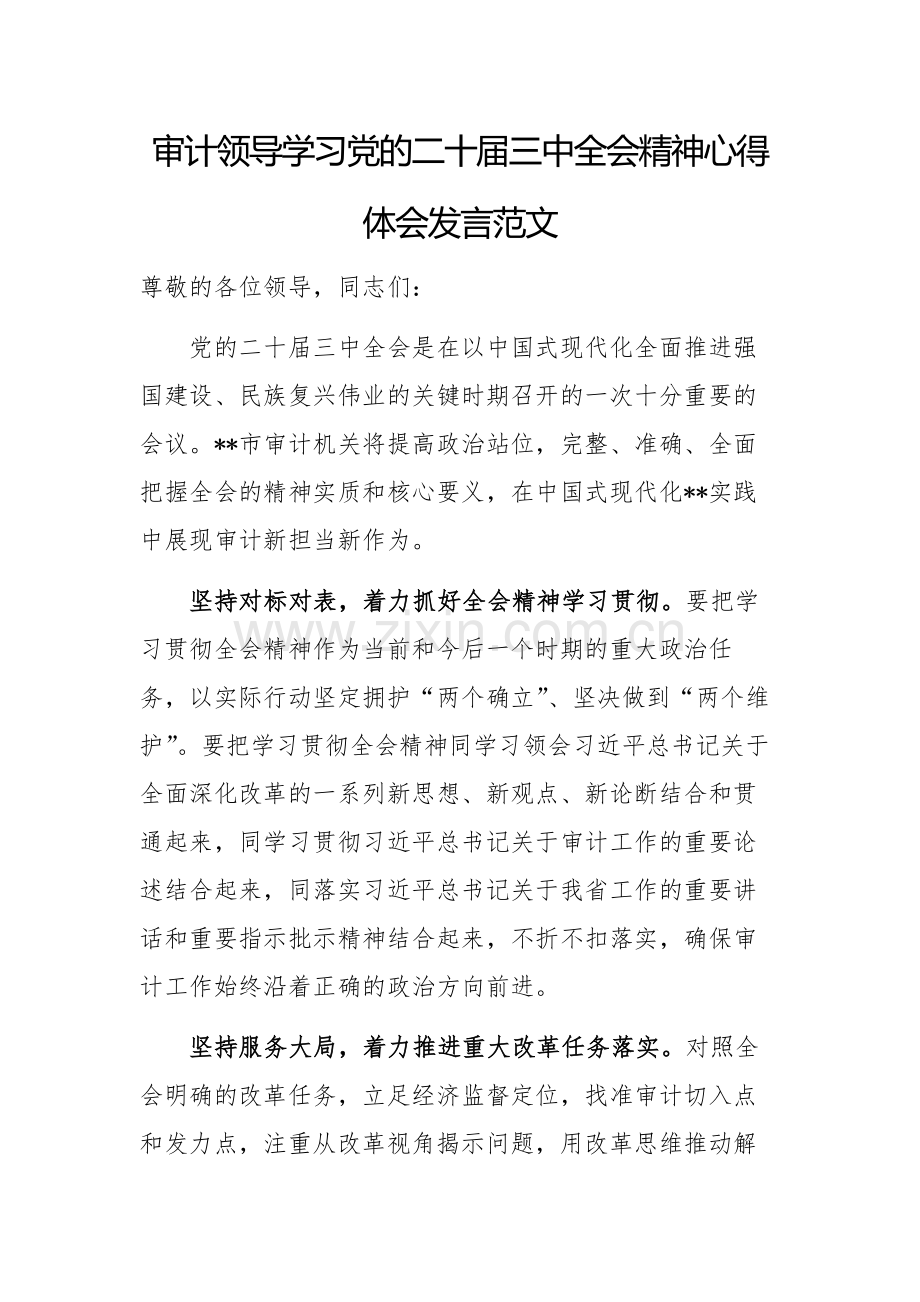 审计领导学习党的二十届三中全会精神心得体会发言范文.docx_第1页