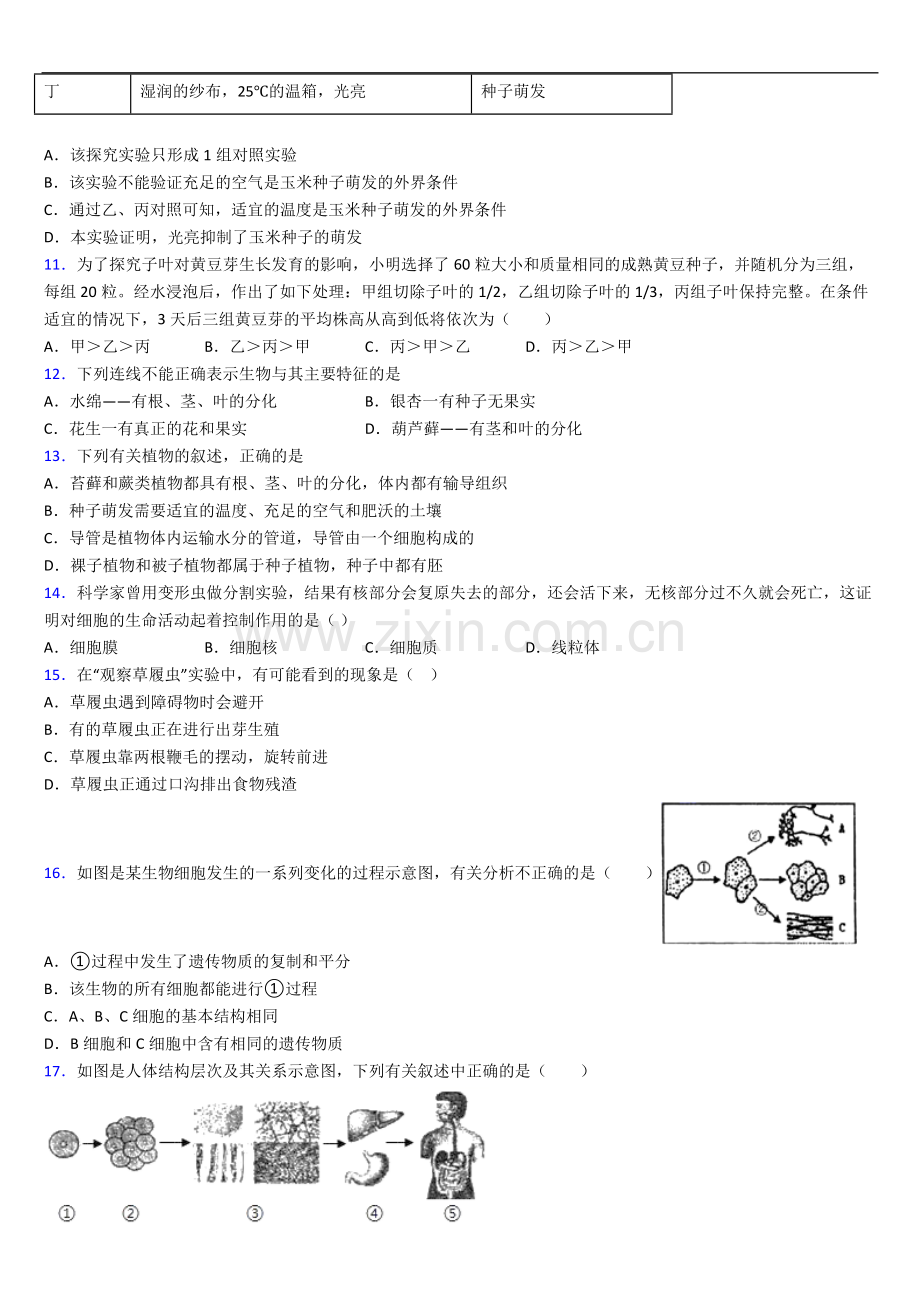 长沙市长沙市第一中学七年级生物上册期中非选择综合题测试卷及答案.doc_第3页