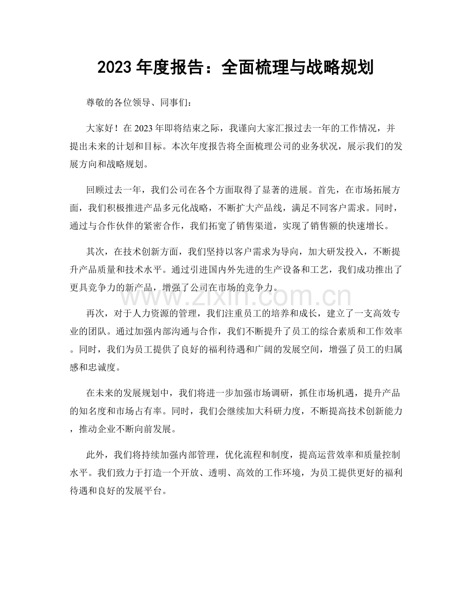 2023年度报告：全面梳理与战略规划.docx_第1页