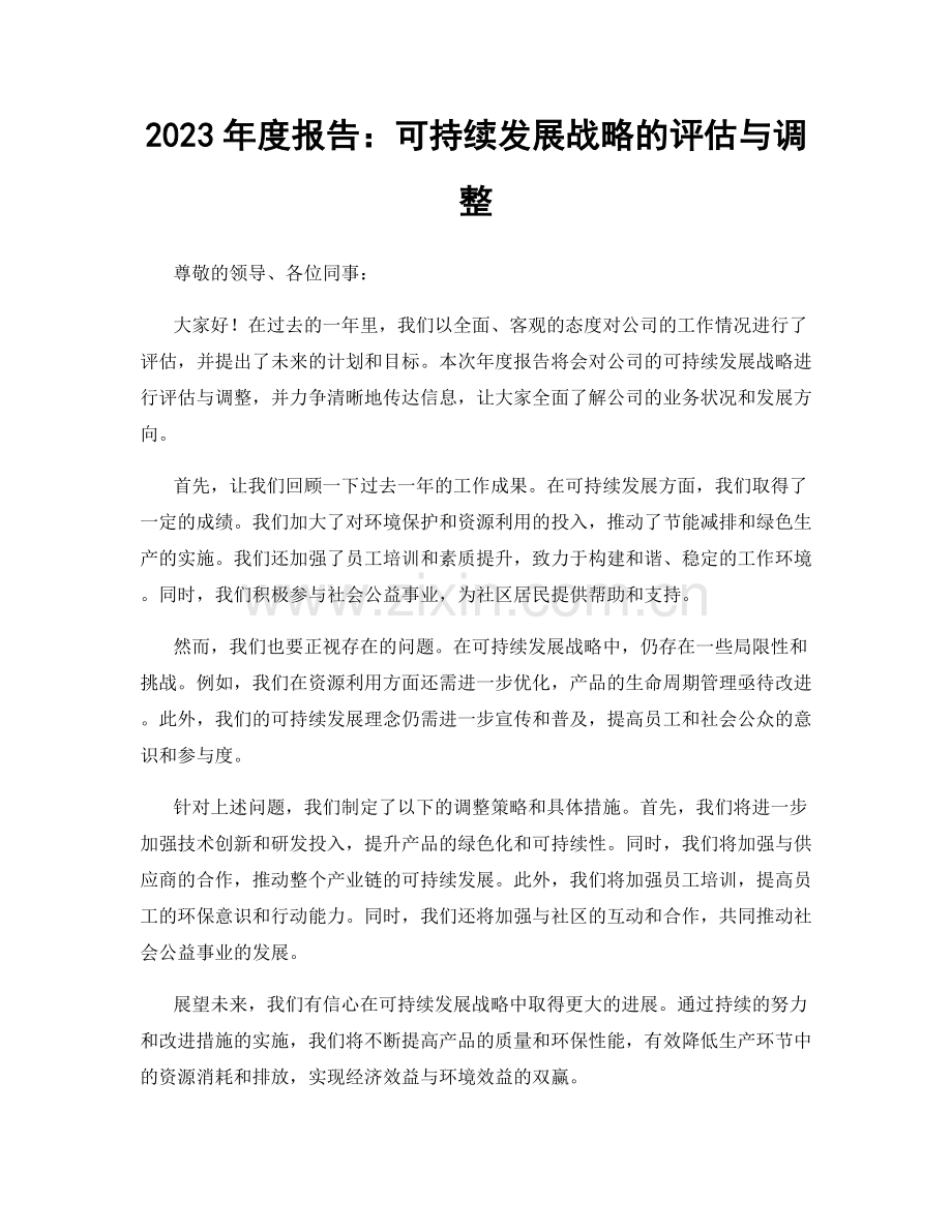 2023年度报告：可持续发展战略的评估与调整.docx_第1页