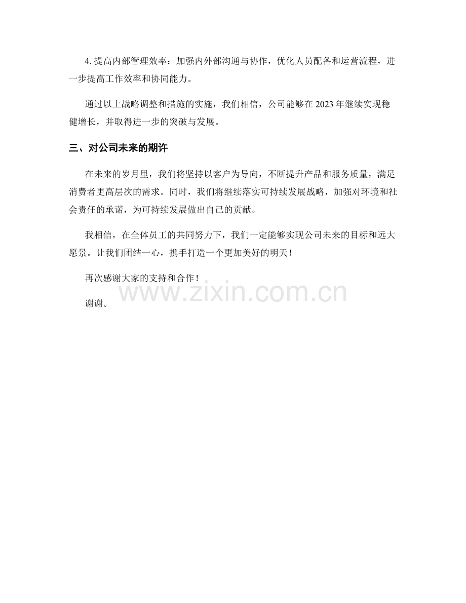 2023年度报告：业绩状况分析与战略策划.docx_第2页