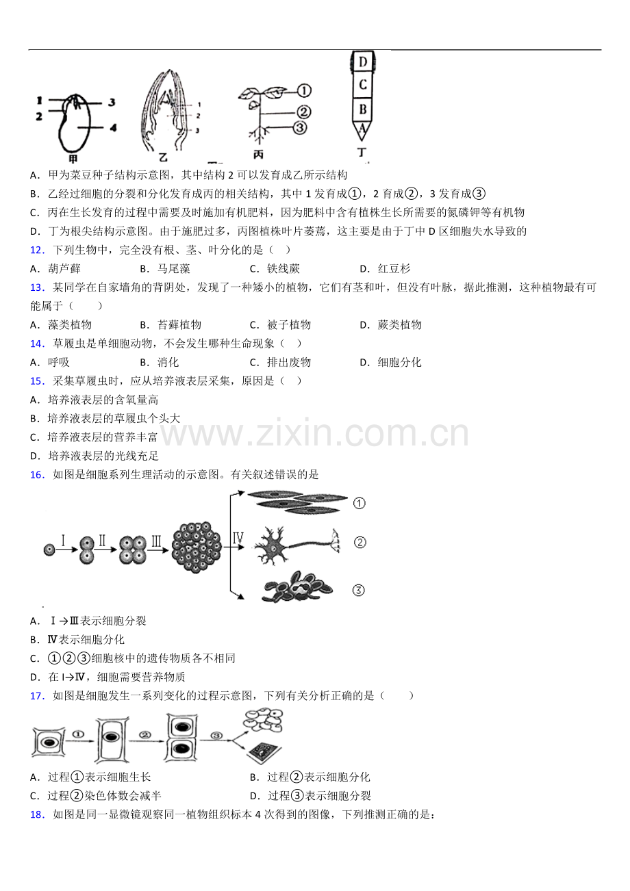 天津市人教版七年级上册期中生物期中试卷及答案.doc_第3页