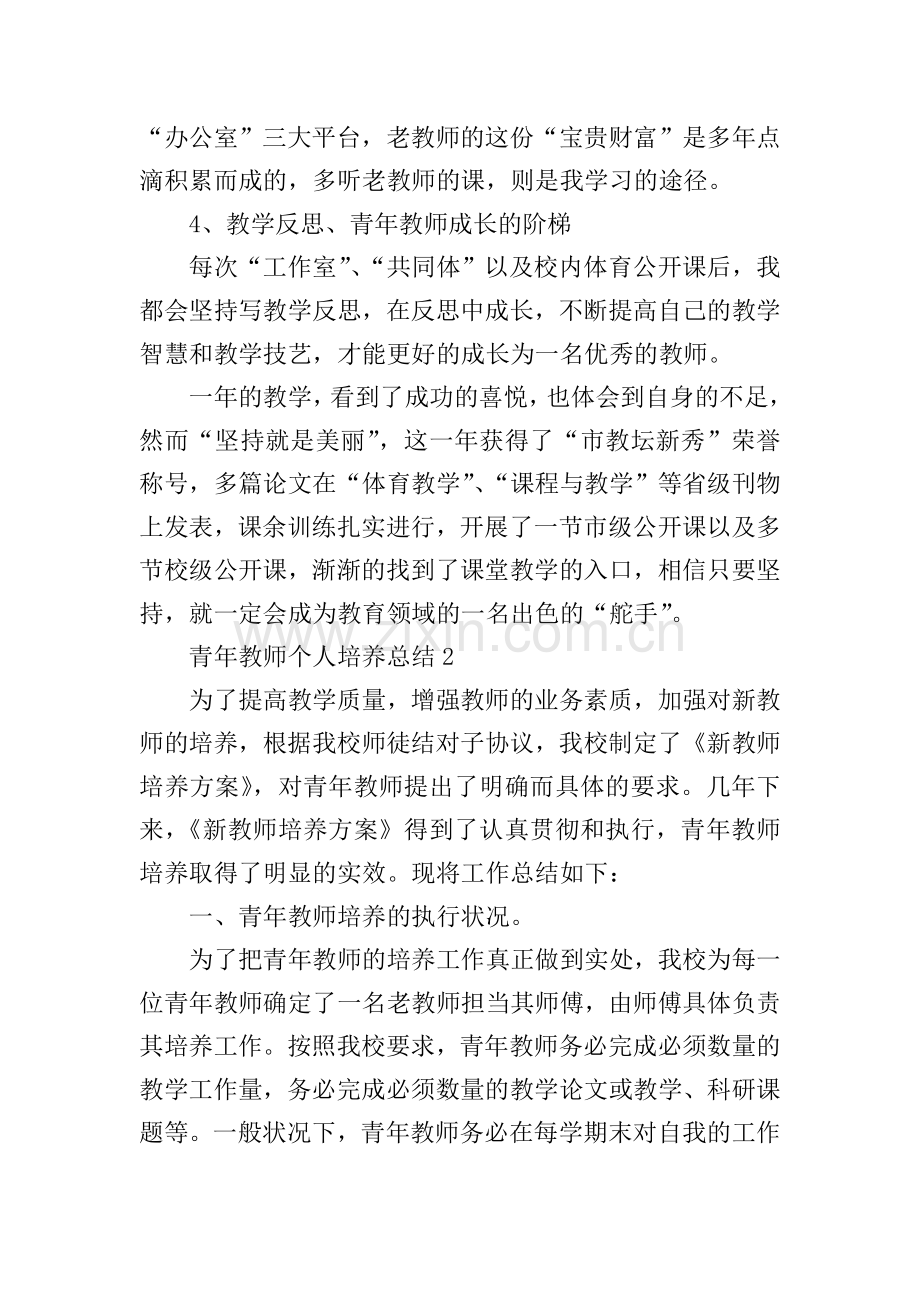 青年教师个人培养总结.doc_第2页