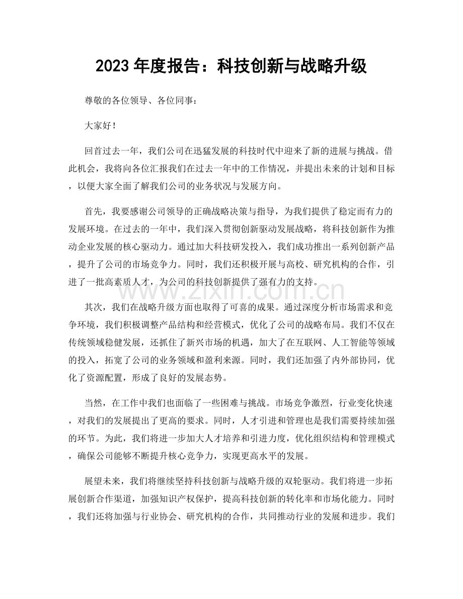 2023年度报告：科技创新与战略升级.docx_第1页