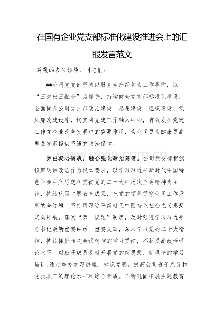 在国有企业党支部标准化建设推进会上的汇报发言范文.docx_第1页