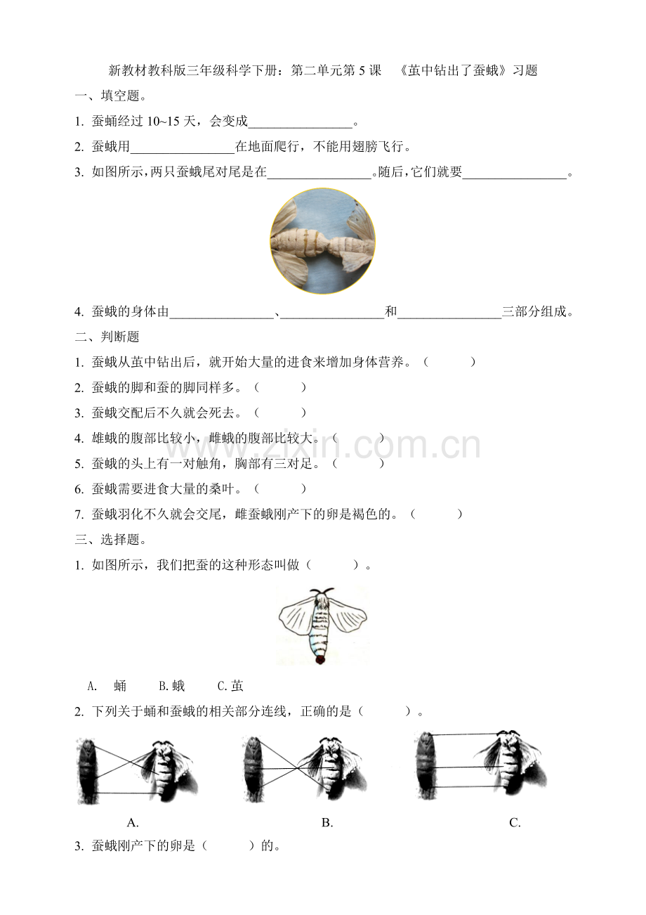 2020新教材教科版三年级科学下册：第二单元第5课--《茧中钻出了蚕蛾》习题.doc_第1页