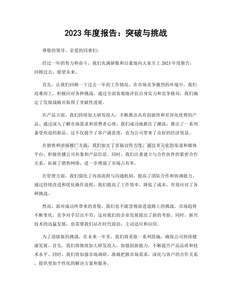 2023年度报告：突破与挑战.docx_第1页