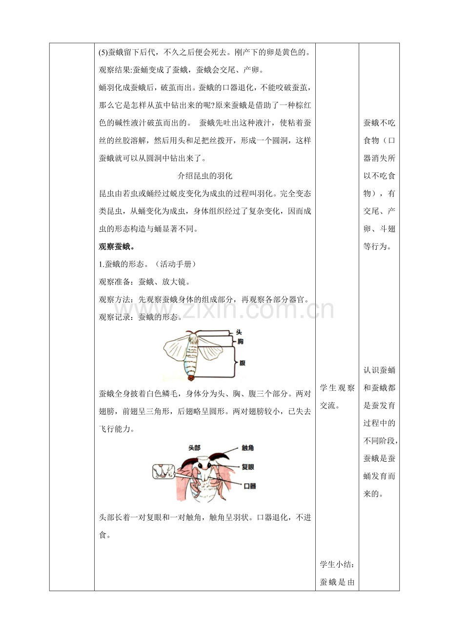 (教科版)小学科学三年级下册第二单元第5课《茧中钻出了蚕蛾》教案.doc_第3页