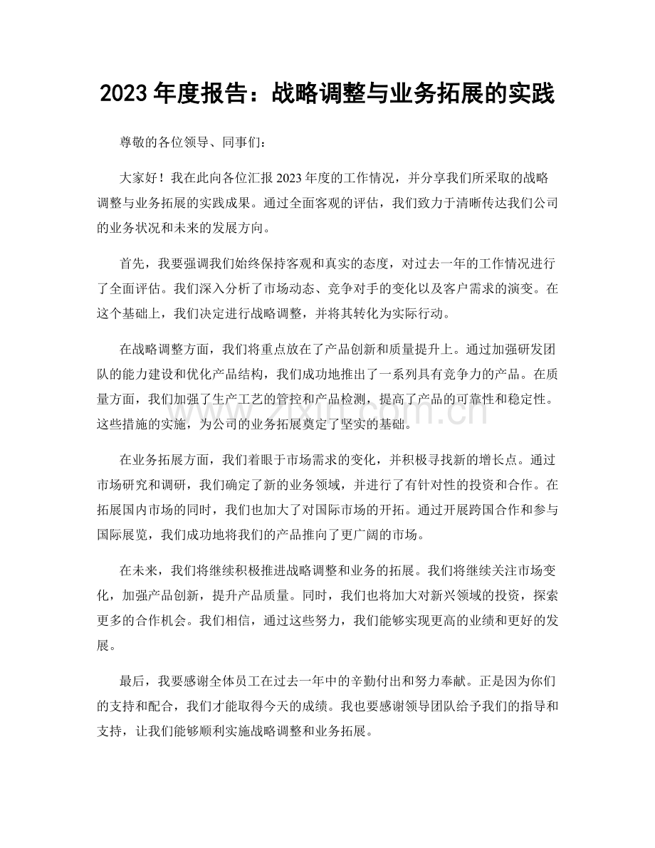 2023年度报告：战略调整与业务拓展的实践.docx_第1页