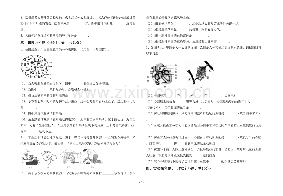 七年级生物上册期末试卷(参考答案).doc_第3页