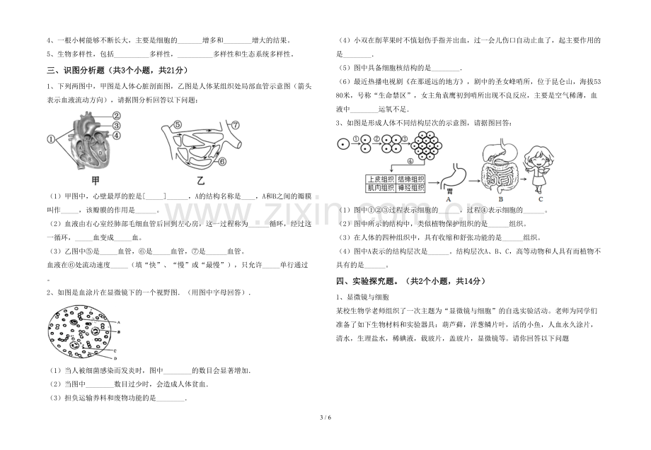 2023年苏教版七年级生物上册期末试卷(附答案).doc_第3页