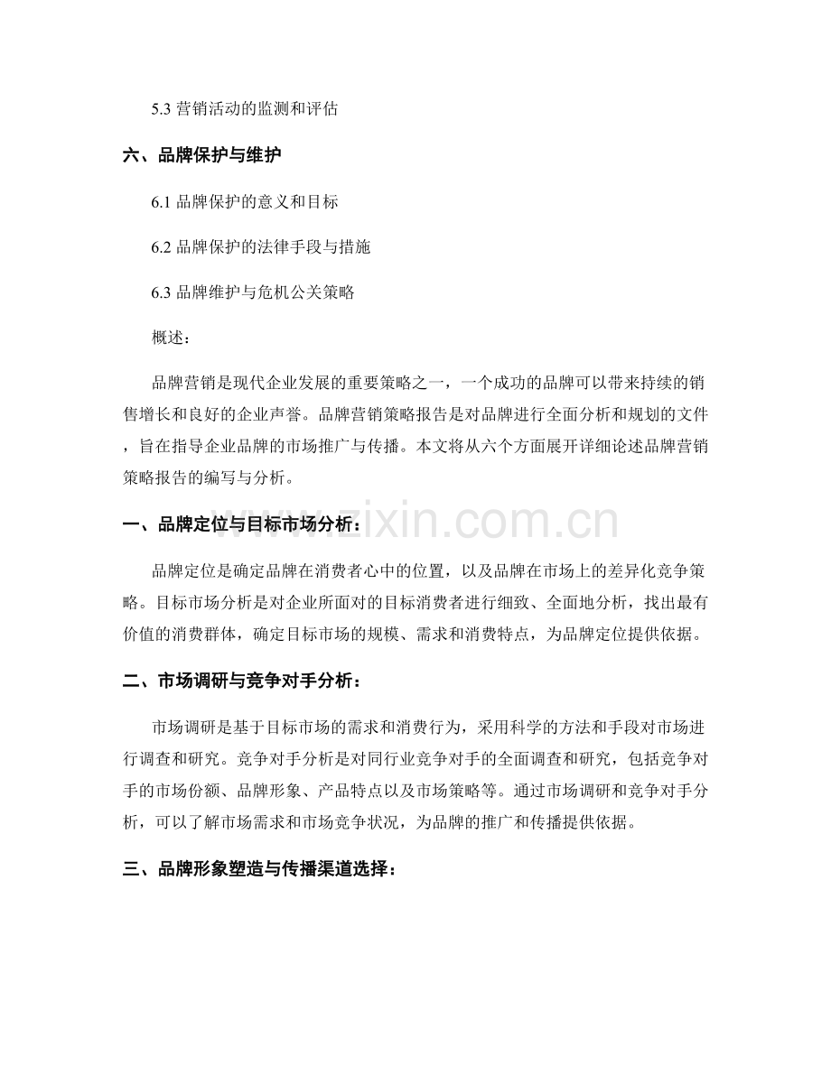 品牌营销策略报告编写与分析.docx_第2页