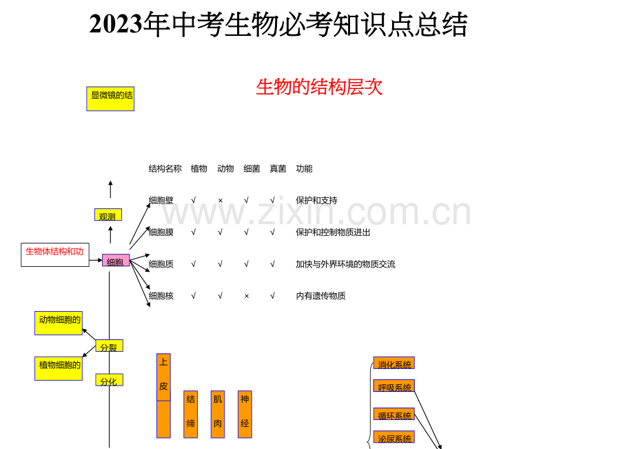 2023年中考生物必考知识点总结.docx_第1页