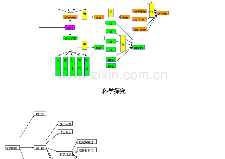 2023年中考生物必考知识点总结.docx_第2页