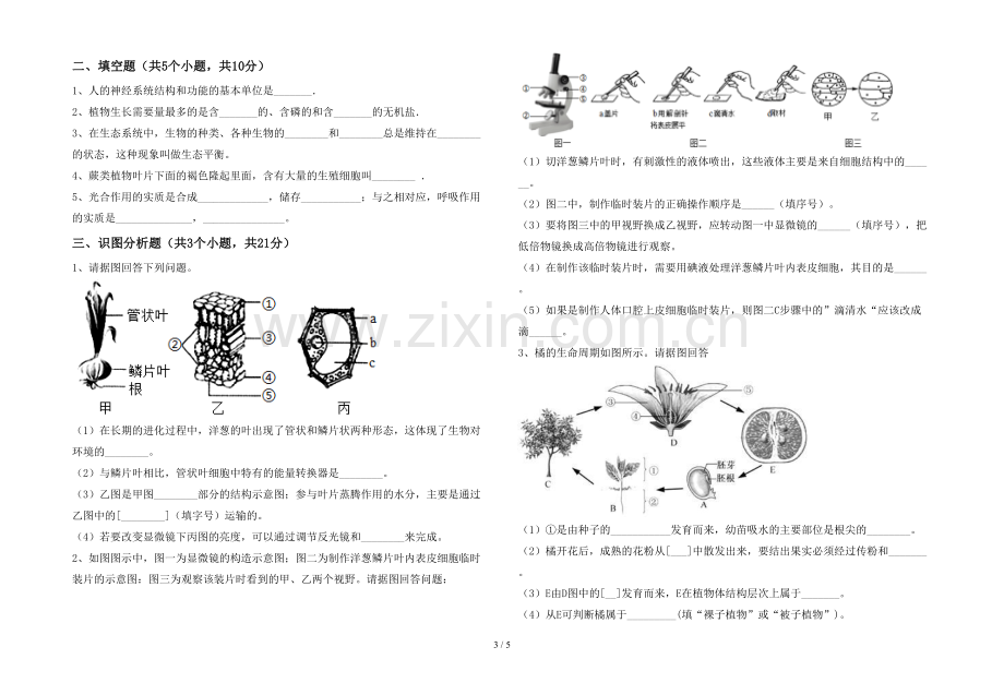 七年级生物上册期末试卷及答案【可打印】.doc_第3页