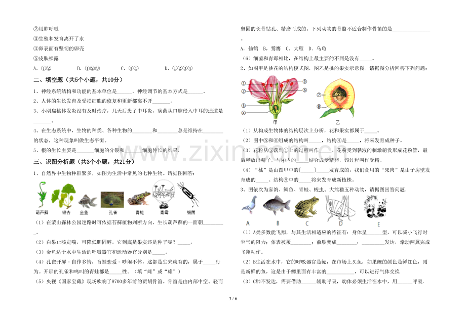 苏教版七年级《生物》上册期末考试卷(附答案).doc_第3页