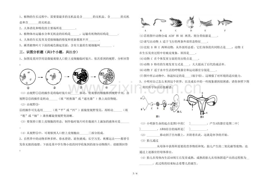 新人教版七年级上册《生物》期末测试卷(含答案).doc_第3页