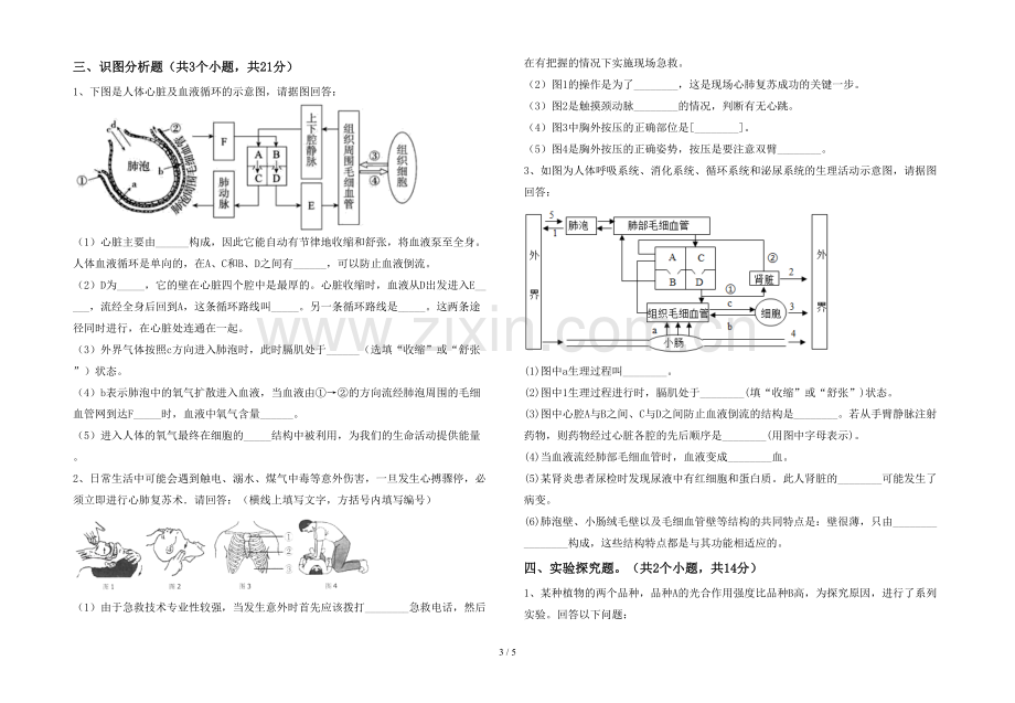 七年级生物上册期末试卷及答案.doc_第3页